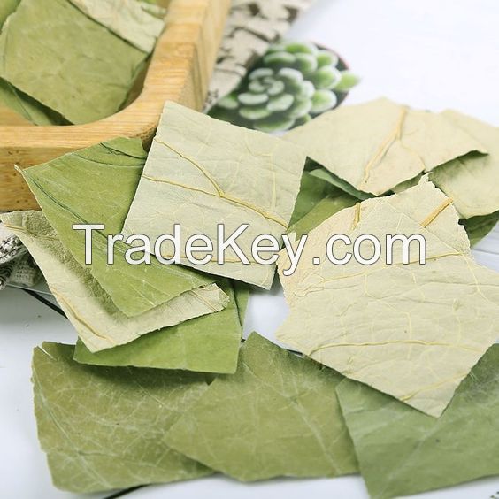 Best product DRIED LOTUS LEAVES from Vietnam/ HIGH QUALITY/ BEST CHEAP