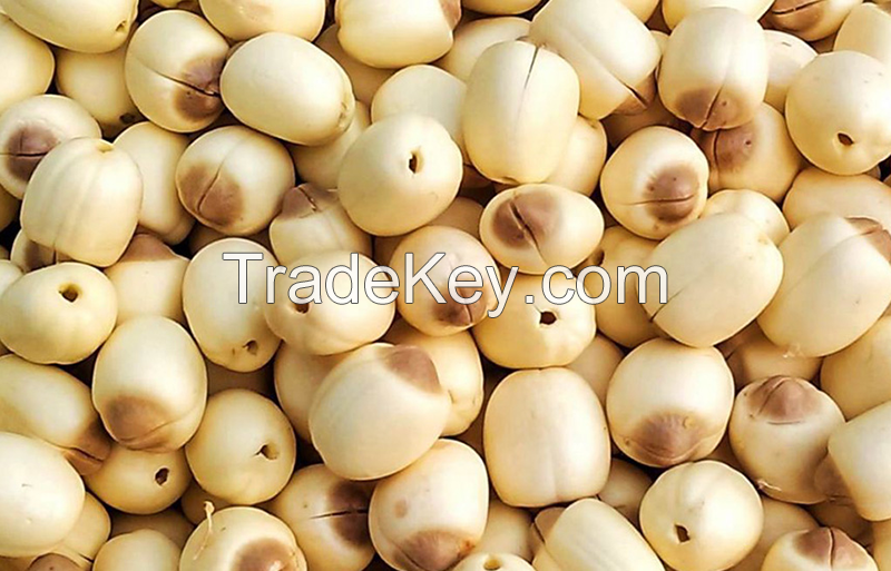 FROZEN LOTUS SEEDS from Vietnam - HIGH QUALITY - BEST CHEAP