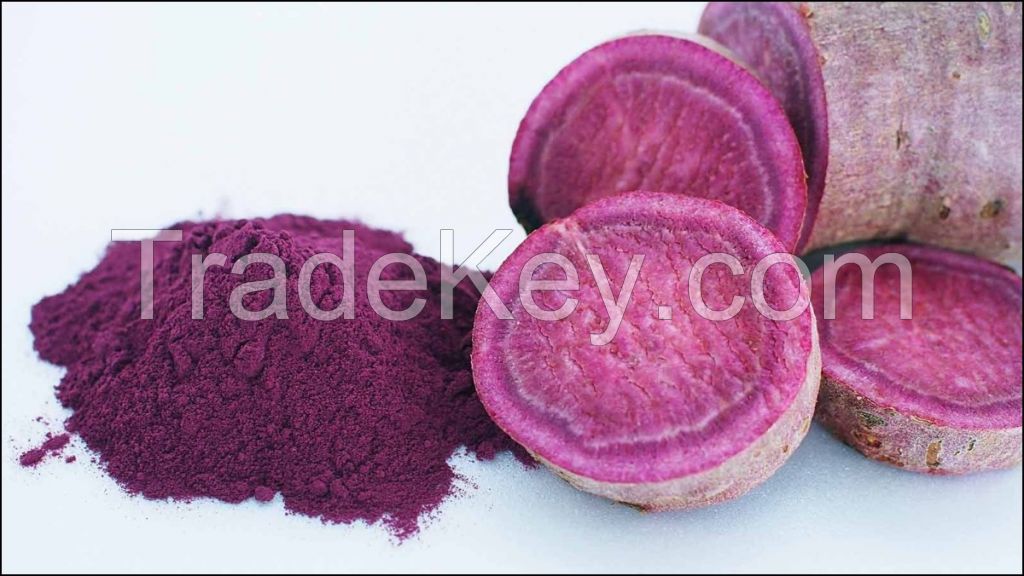 BEST POWDER SWEET POTATO POWDER FROM VIETNAM/ 100% NATURAL POTATO