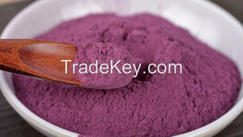 SWEET POTATO POWDER from FRESH POTATO IN VIETNAM/ BEST CHOICE FOR YOU 