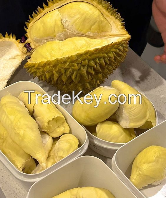 Sweet natural and cool for SUMMER // DURIAN PUREE FROZEN PRODUCT // VIETNAM