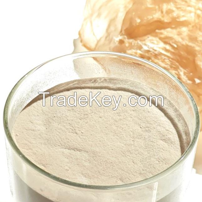 REFINED CARRAGEENAN POWDER FOR SUPERIOR GELLING IN FOOD