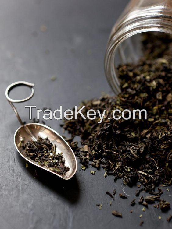 Fresh Tea Leaves / PREMIUM QUALITY / ORGANIC LEAVES TEA PRODUCT / 100% ORGANIC