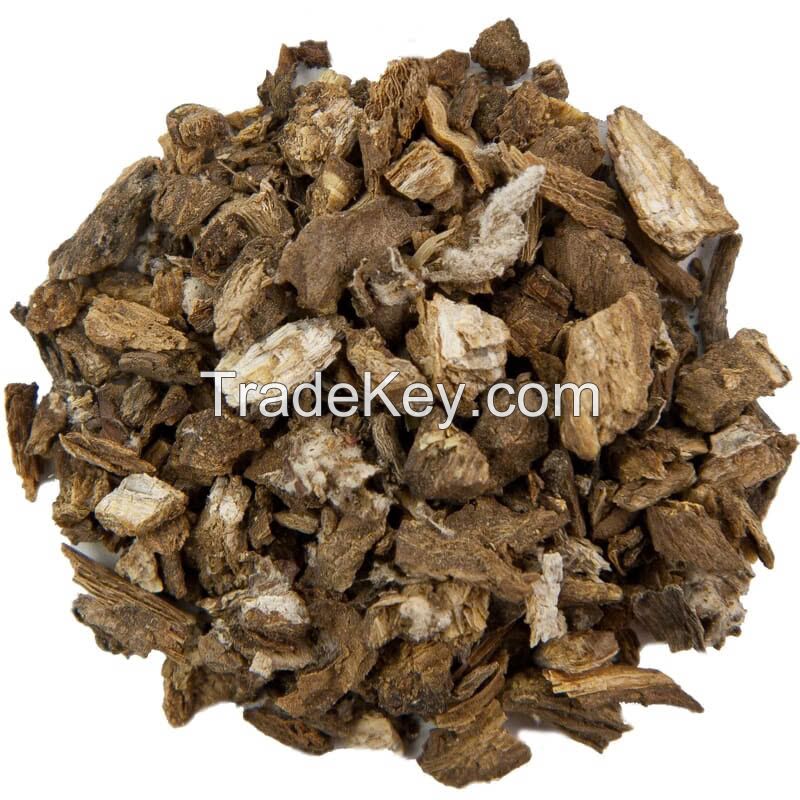 BURDOCK ROOT PRODUCT from VIETNAM / The Natural Choice for Health and Beauty / HIGH QUALITY in VIETNAM