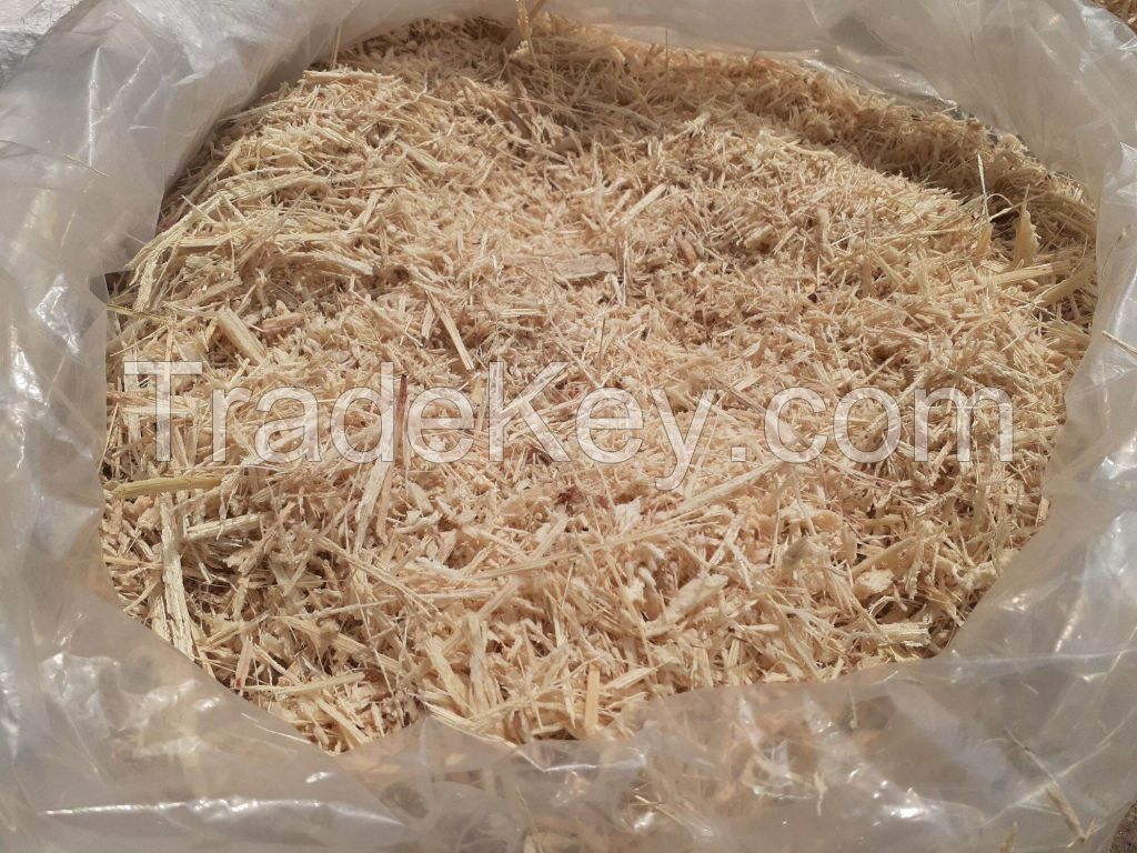 100% NATURAL FRESH BAGASSE POWDER FROM VIETNAM - PERFECTION FOR FARMING