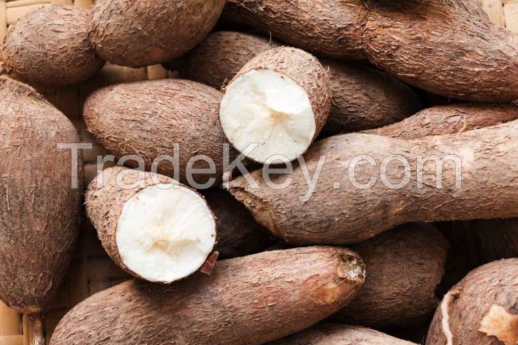 PREMIUM VIETNAMESE FROZEN TAPIOCA CASSAVA - FRESHLY FROZEN TUBER