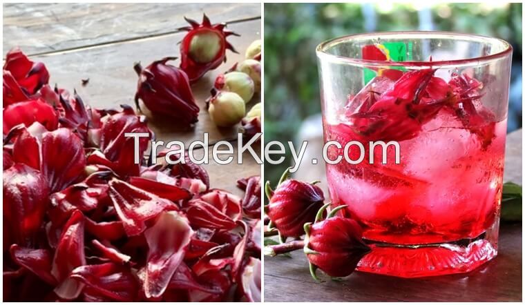 DRIED HIBISCUS FLOWER PRODUCT /  A Refreshing Drink from PREMIUM HIBISCUS FLOWER / GOOD PRICE in VIETNAM