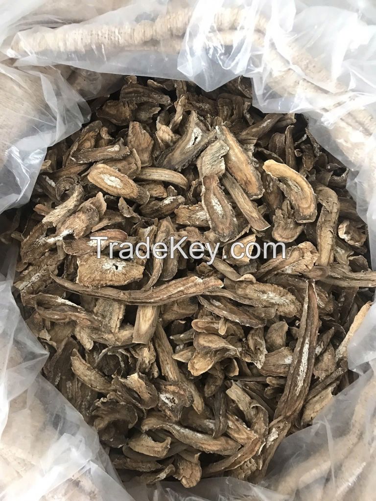 BURDOCK ROOT PRODUCT from VIETNAM / The Natural Choice for Health and Beauty / HIGH QUALITY in VIETNAM