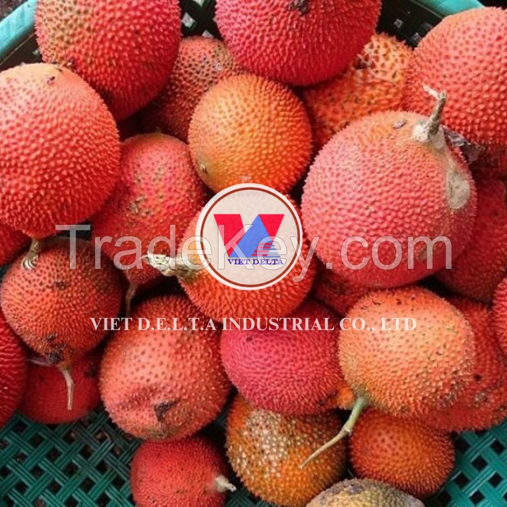 GAC FRUIT POWDER made in VIETNAM / PREMIUM QUALITY with GOOD PRICE