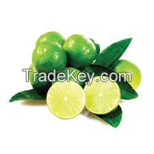 FRESH / FROZEN SEEDLESS LIME made in VIETNAM // PREMIUM QUALITY FOR COOKING 