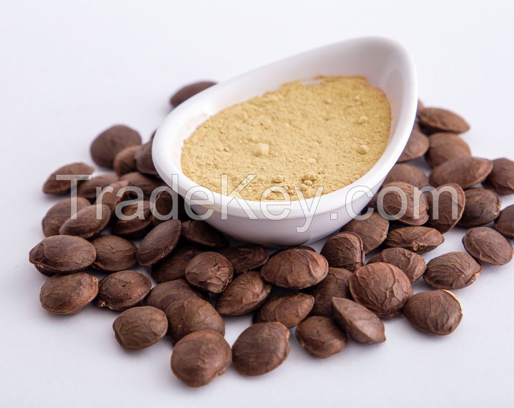 VIETNAMESE SACHA INCHI POWDER 100% ORGANIC HIGH PROTEIN FOR HEALTHY SNACKS OR SMOOTHIES