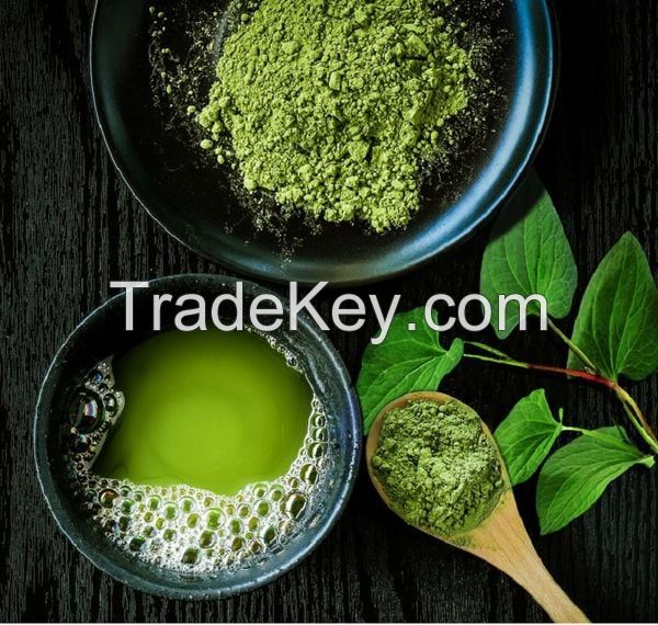 VIETNAM FISH MINT POWDER ORGANIC HERBAL EXTRACT FOR SUPPLEMENTS AND BEAUTY USES