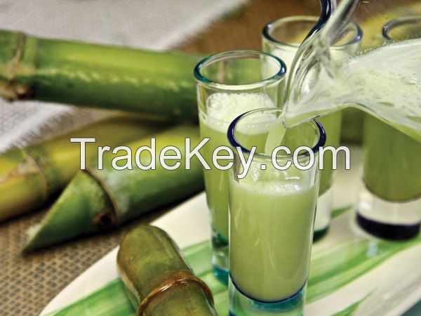 PURE AND REFRESHING FROZEN SUGARCANE JUICE / FARM TO CUP / GREAT VALUE / MADE IN VIETNAM