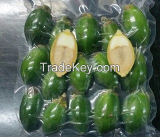 Vietnamese Areca Fruit - Ideal for Traditional Preparations and Innovative Recipes