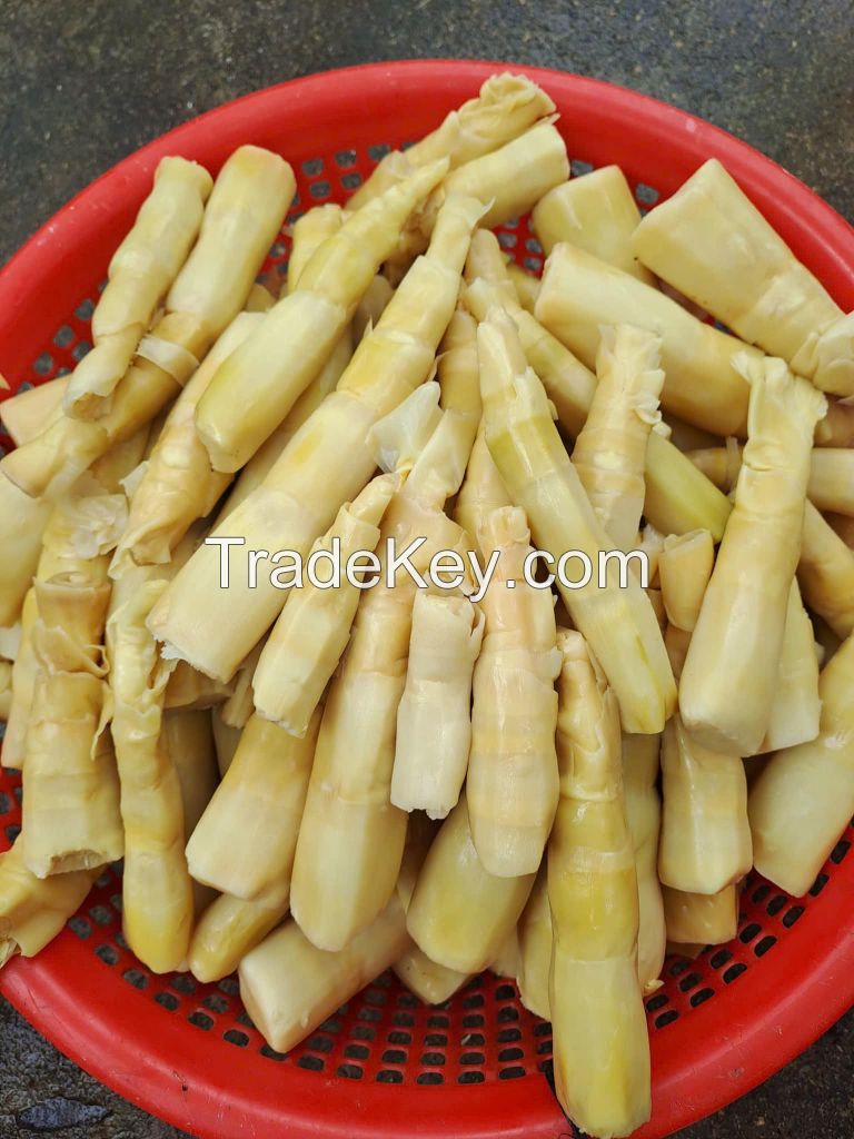 FRESH VIETNAMESE CANNED BAMBOO SHOOT NATURAL FLAVOR HEALTHY FOOD TOP VIETNAM QUALITY