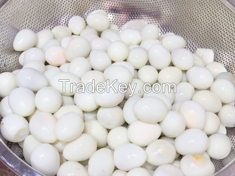 BEST VIETNAM CANNED QUAIL EGGS WITH TASTE, IDEAL FOR HOME COOKING