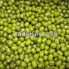 VIETNAMESE WHOLESALE MOONG BEANS GREEN // 100% NATURAL // BEST FOR PROTEIN RICH VEGAN DIETS // HIGH QUALITY