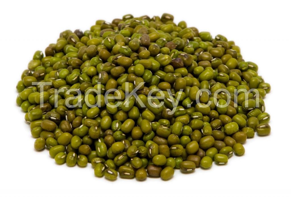 VIETNAMESE WHOLESALE MOONG BEANS GREEN // 100% NATURAL // BEST FOR PROTEIN RICH VEGAN DIETS // HIGH QUALITY