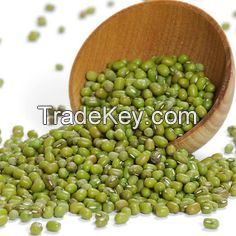 VIETNAMESE WHOLESALE MOONG BEANS GREEN // 100% NATURAL // BEST FOR PROTEIN RICH VEGAN DIETS // HIGH QUALITY