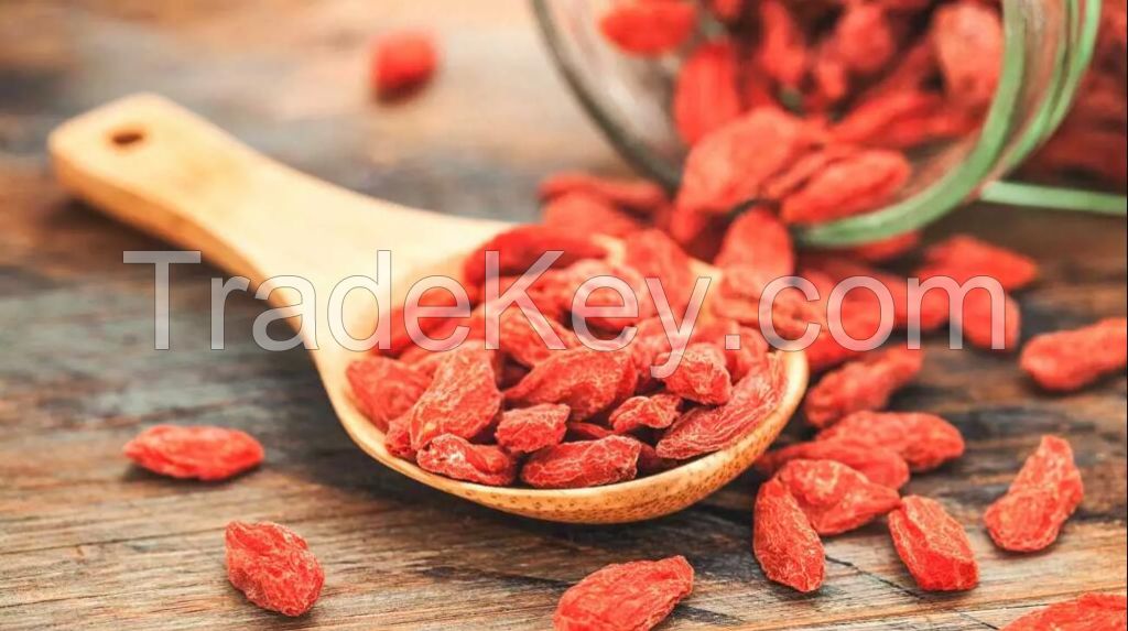 GOOD FOR HEALTH from DRIED GOJI BERRIES // MADE IN VIETNAM with REASONABLE PRICE