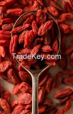 TOP GRADE from Vietnam // DRIED GOJI BERRIES with 100% NATURAL // Best Product for HEALTH