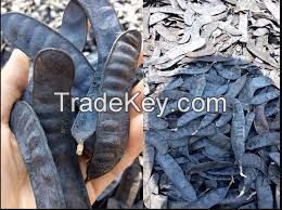 VIETNAMESE PREMIUM GLEDITSIA SINENSIS // 100% NATURAL // HIGH QUALITY FOR YOUR CHOICE // GOOD PRICE FROM VIETNAM