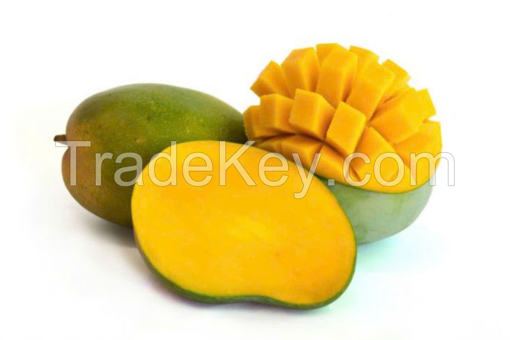 FRESH VIETNAMESE MANGO - HIGH-QUALITY TROPICAL FRUIT - PREMIUM EXPORT MANGO FROM VIETNAM