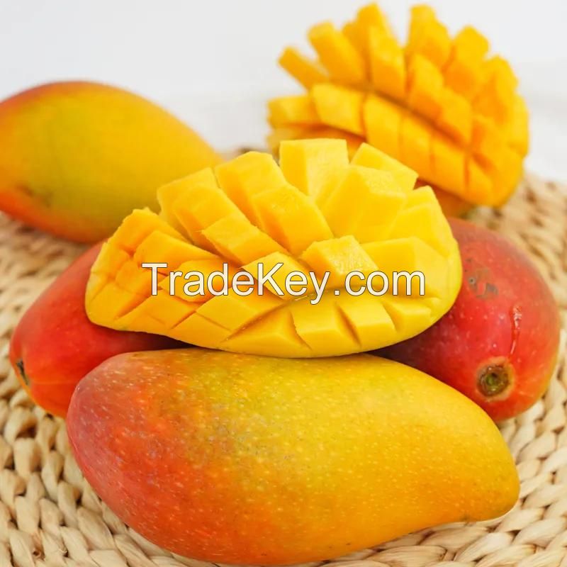 FRESH VIETNAMESE MANGO - HIGH-QUALITY TROPICAL FRUIT - PREMIUM EXPORT MANGO FROM VIETNAM