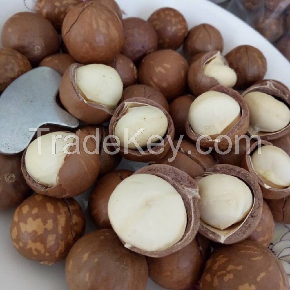 VIETNAMESE MACADAMIA NUTS SHELLED and UNSHELLED/ 100% NUTRITIOUS FOR YOU!!