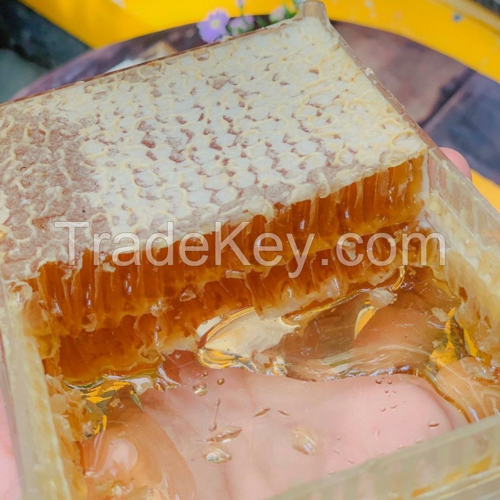 VIETNAMESE RAW HONEY COMB - 100% NATURAL FROM FINEST HIVES, NATURAL SWEETNES 