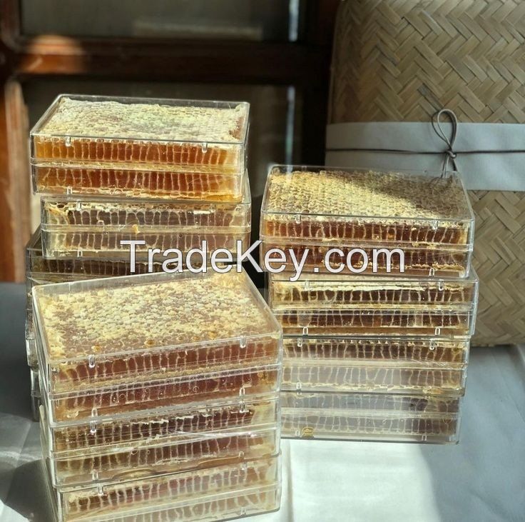 VIETNAMESE RAW HONEY COMB - 100% NATURAL FROM FINEST HIVES, NATURAL SWEETNES 