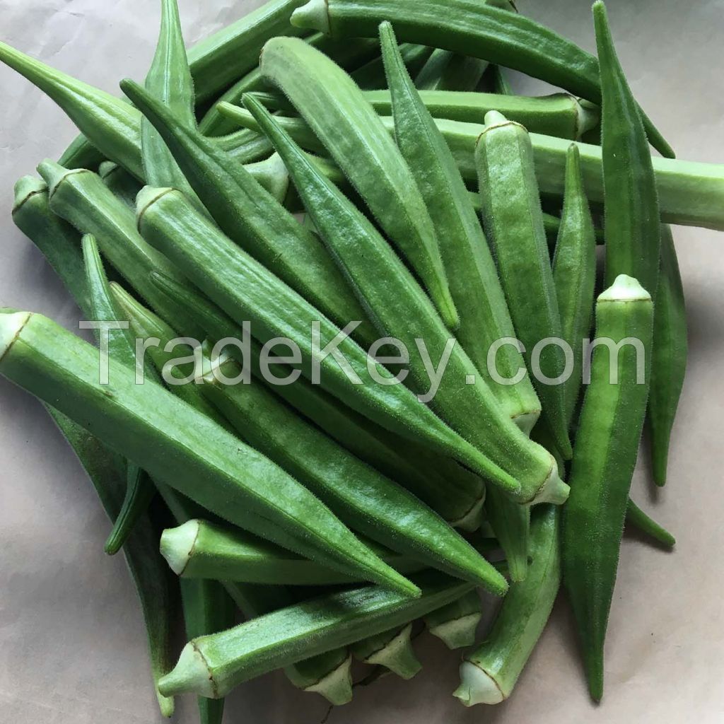 PREMIUM QUALITY FROZEN OKRA FROM VIETNAM - 100% FRESH VEGETABLES FOR MEALS