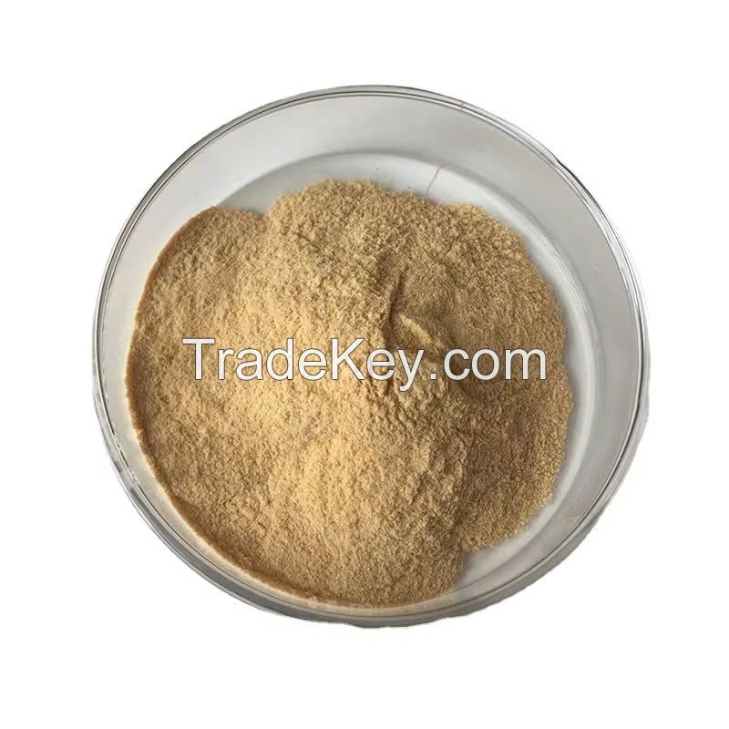 TOP GRADE VIETNAM SEA CUCUMBER POWDER FOR HEALTHY LIVING AND BODY STRENGTH