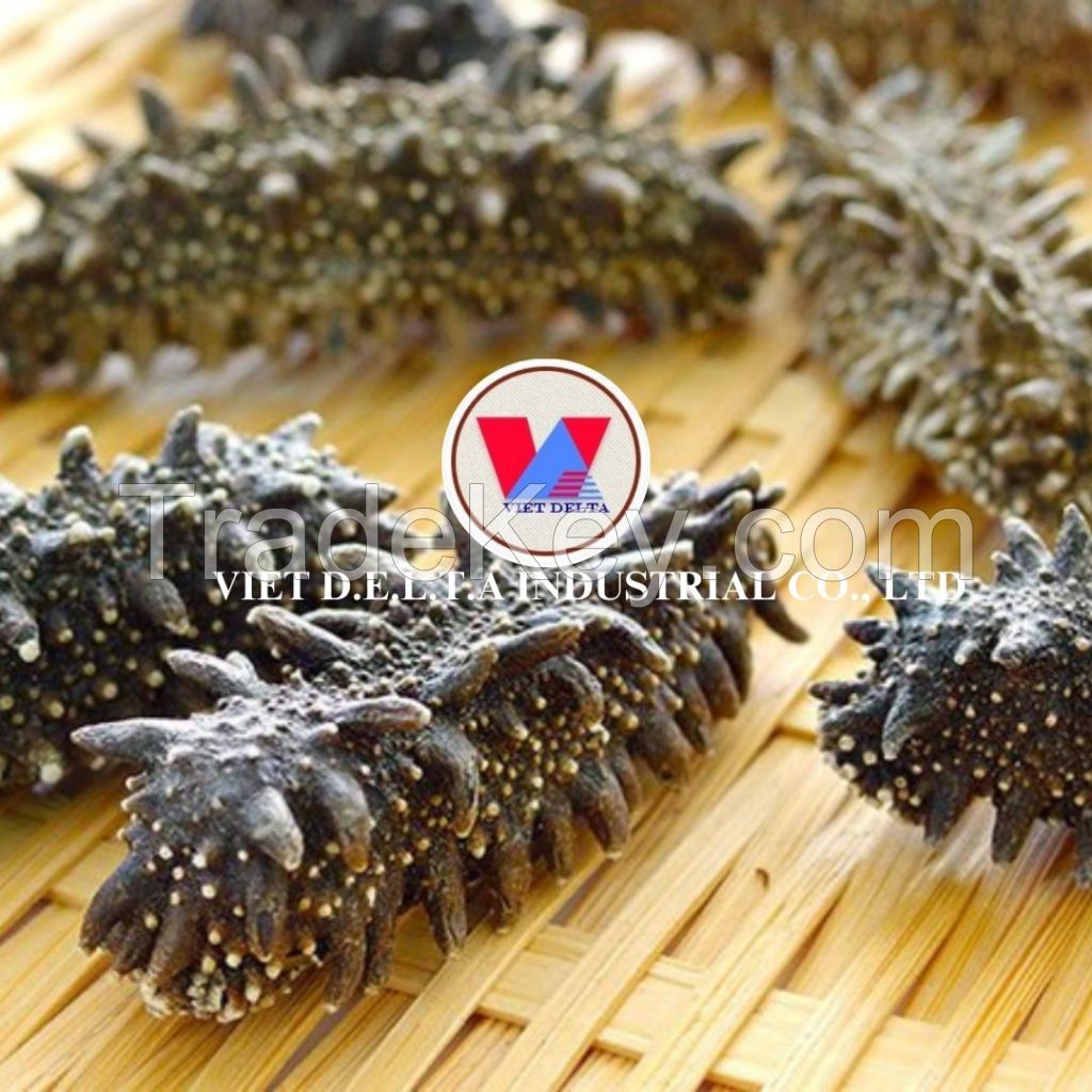 PREMIUM VIETNAM SEA CUCUMBER POWDER - NATURAL, HIGH QUALITY, ORGANIC SEAFOOD EXTRACT FROM SUSTAINABLE SOURCES