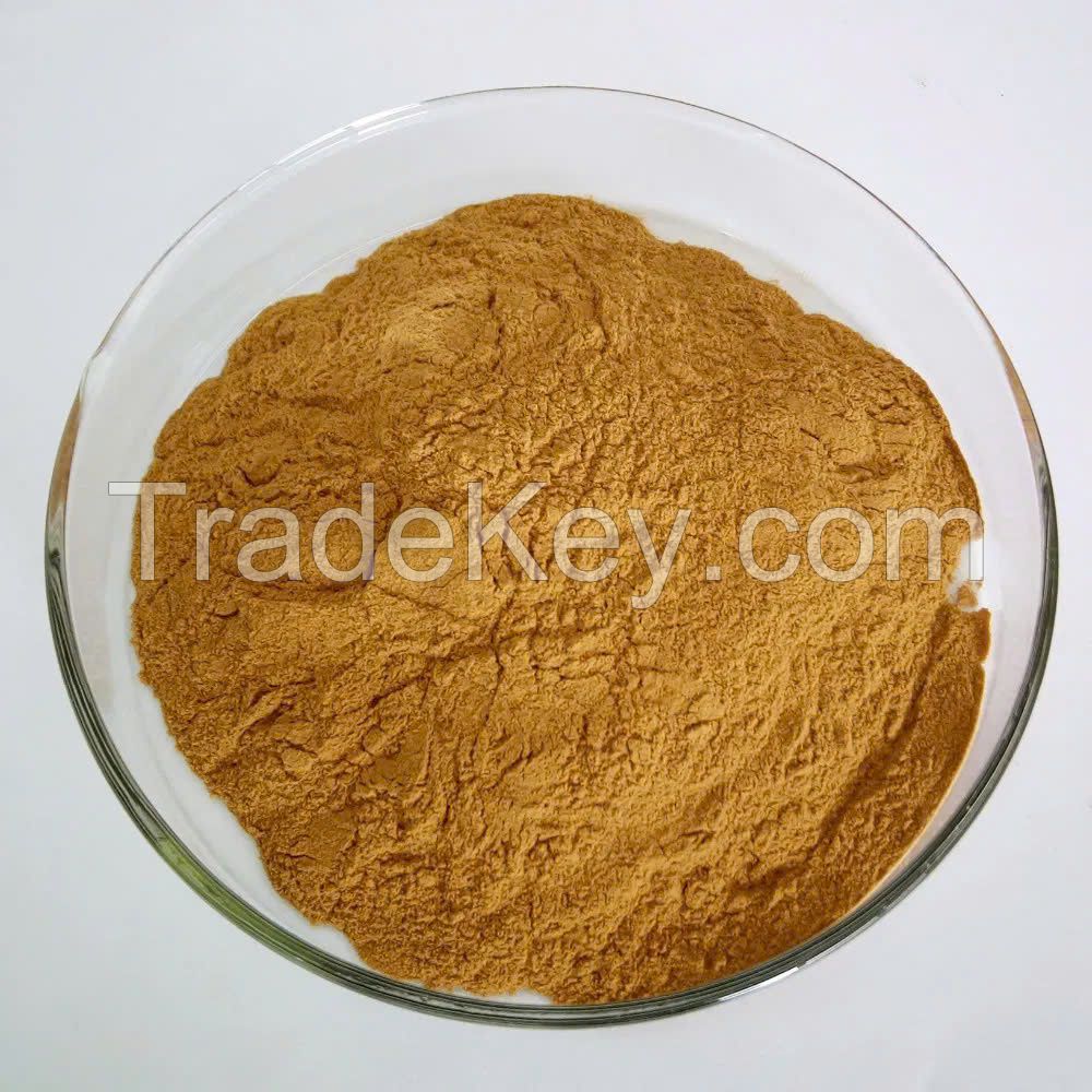 TOP GRADE VIETNAM SEA CUCUMBER POWDER FOR HEALTHY LIVING AND BODY STRENGTH