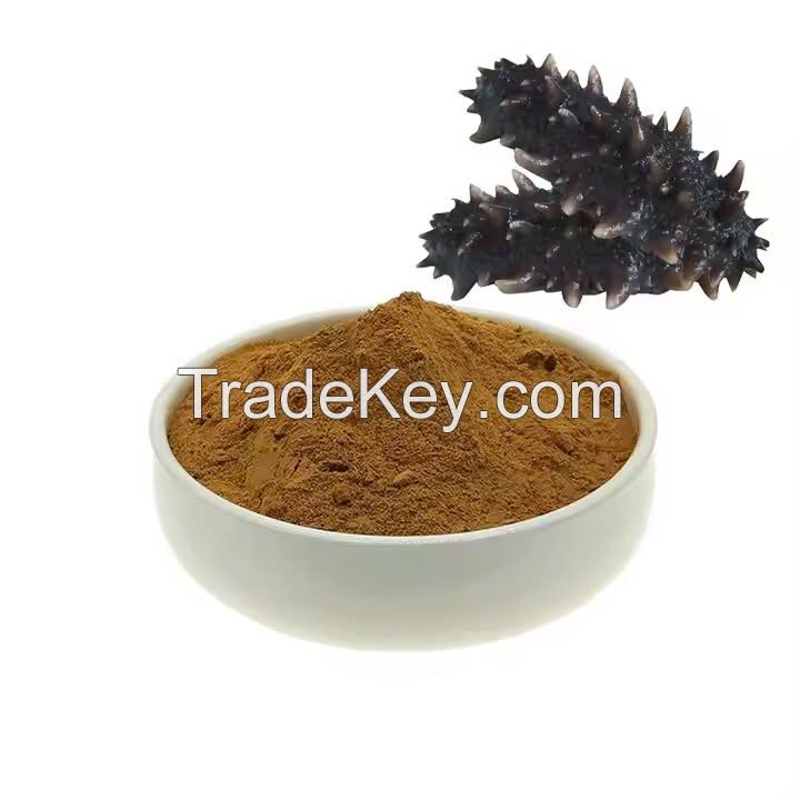 100% NATURAL VIETNAM SEA CUCUMBER POWDER FOR IMMUNE SYSTEM SUPPORT AND HEALTH