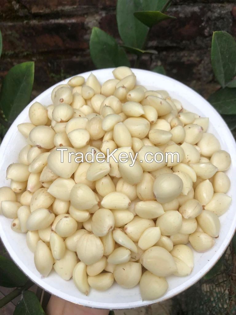 HIGH QUALITY VIETNAM ORIGIN FROZEN GARLIC FOR EXPORT WITH LONG SHELF LIFE