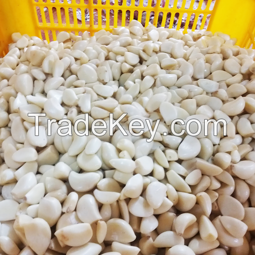 HIGH QUALITY VIETNAM ORIGIN FROZEN GARLIC FOR EXPORT WITH LONG SHELF LIFE