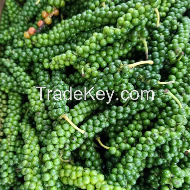 FROZEN GREEN PEPPER FROM VIETNAM - A TASTY ADDITION TO YOUR RECIPES - HIGH QUALITY