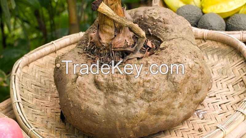 ORGANIC KONJAC POWDER FROM VIETNAM FOR HEALTH-CONSCIOUS DIETS, WEIGHT MANAGEMENT