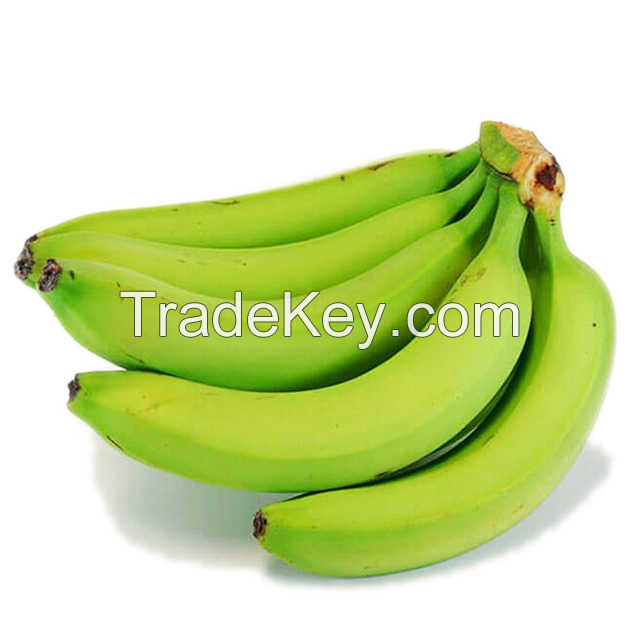 FRESH CAVENDISH BANANAS Ã¢ï¿½ï¿½ SWEET AND NUTRITIOUS