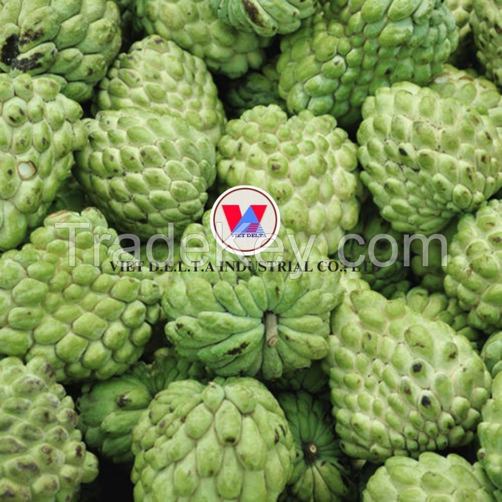 FRESH ORGANIC CUSTARD APPLE FRUIT FROM VIETNAM - PREMIUM FRUIT FOR DESSERTS
