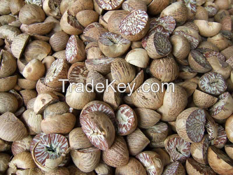 VIETNAM DRIED/ FRESH AND FROZEN BETEL NUT SUPPLIER - HIGH GRADE NUTS FOR HERBAL, COSMETIC AND FOOD