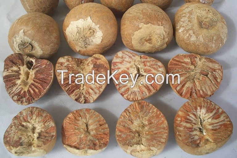 VIETNAM DRIED/ FRESH AND FROZEN BETEL NUT SUPPLIER - HIGH GRADE NUTS FOR HERBAL, COSMETIC AND FOOD