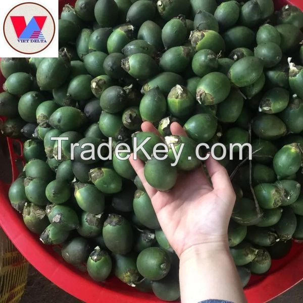 BEST VIETNAM FROZEN/ DRIED AND FRESH BETEL NUT FOR EXPORT - TOP GRADE NUT FOR CHEWING  