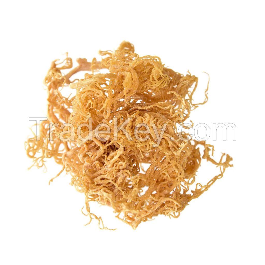 PREMIUM DRIED YELLOW SEA MOSS FROM VIETNAM - 100% NATURAL ORGANIC SEAWEED