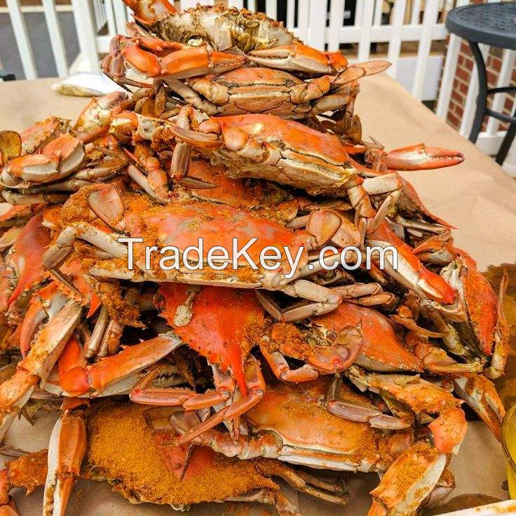 PURE CRAB SHELL / NATURAL SOURCE FOR AGRICULTURE / MADE IN VIETNAM