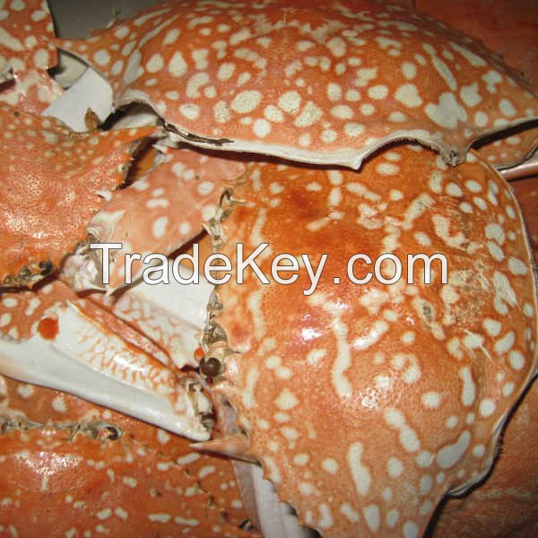 CRAB SHELL GRANULES / HIGH-QUALITY FERTILIZER BASE / MADE IN VIETNAM