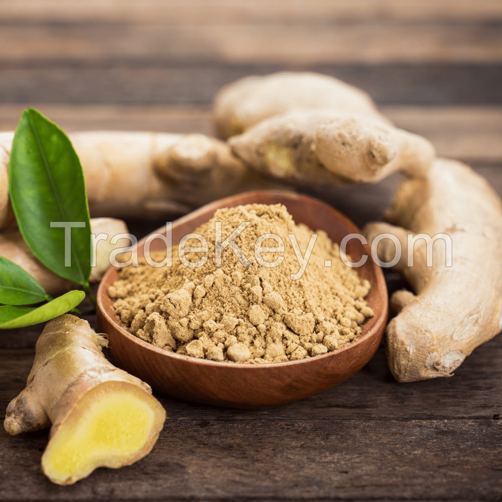 ORGANIC GINGER POWDER / NATURAL SPICE BOOST / MADE IN VIETNAM