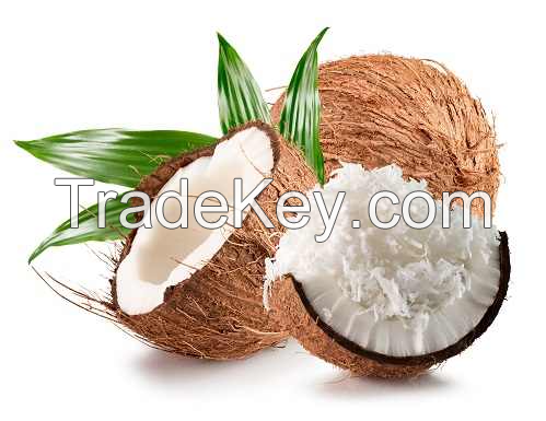 FLAVORFUL DESICCATED COCONUT / FRESH & AROMATIC / MADE IN VIETNAM / MADE IN VIETNAM